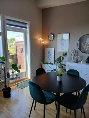 Apartment for ONS 2024